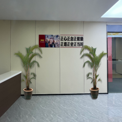 公司理念、精神、组织形式、愿景